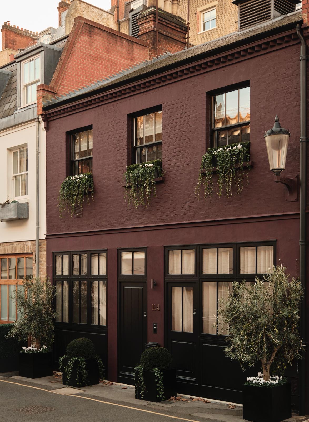 A burgundy-painted London mews house with black doors, window boxes and olive trees